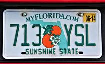 Autokennzeichen FLORIDA von assy