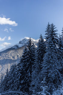 Winterlandschaft in den Tiroler Alpen von Thomas Schwarz