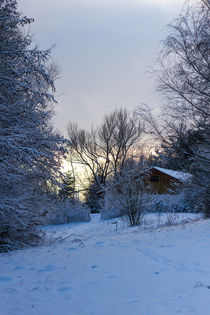 Hütte im Schnee von Thomas Schwarz