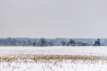 Feld im Winter von Thomas Schwarz