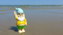 HELLO SUNSHINE... Garden dwarf makes seaside holiday by Anela Krause