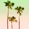 Pastel-palm-trees