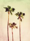 Pastel-palm-trees-no2