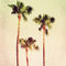 Pastel-palm-trees-no2