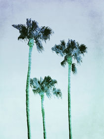 PASTEL PALM TREES no3 by Pia Schneider