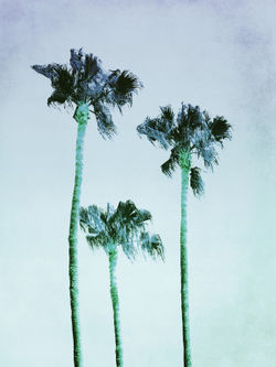 Pastel-palm-trees-no3