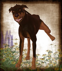 Piss off - Hund - Dog by Conny Dambach