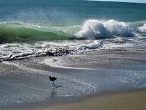tobende Wellen und ein Strandläufer  von assy