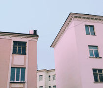 Pink von Andrei Grigorev