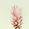 Pastel-pineapple-no1b