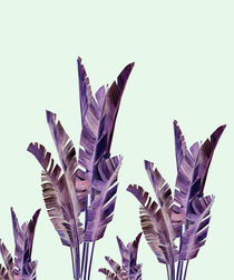 Purple banana leafs by dreamyfaces