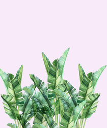 Banana leafs over pink background by dreamyfaces