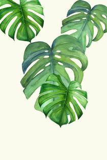 Monstera leafs by dreamyfaces