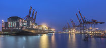 Containerhafen in Hamburg bei Nacht von Klaus Tetzner
