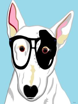 Hipster-bull-terrier-portrait