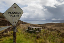 passing place by Peter Moser