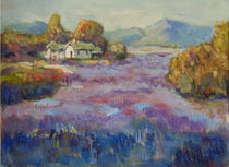Lavendel in der Provence  von alfons niex