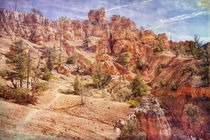 Journey Through Red Canyon von John Bailey