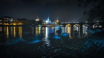 Charles Bridge in Prague von Tomas Gregor
