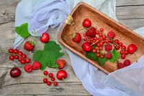 Rote Beeren Still life by Claudia Evans
