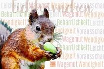 Eichhörnchen - Furchtlose Leichtigkeit by Astrid Ryzek