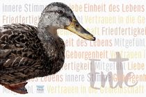 Ente - Einheit des Lebens by Astrid Ryzek