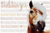Haflinger - Gelassene Vitalität by Astrid Ryzek