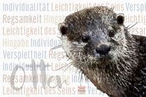 Otter - Der Individualist von Astrid Ryzek