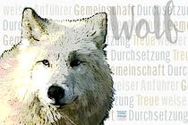 Weißer Wolf - Weiser Anführer von Astrid Ryzek