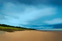 Alnmouth Beach. von Colin Metcalf