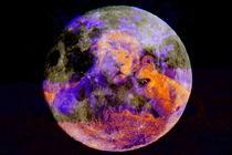 Lion Love over the Moon - DigiArt 1 by thula-photography