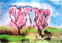 Kirschenblüte 3 von Gerhard Stolpa