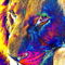 Lion-portrait-pop-thula-art-2520-4500x6750