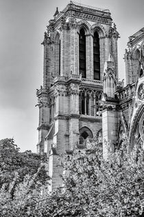 Notre Dame de Paris von Silvia Eder