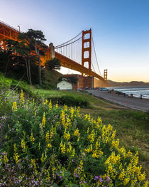 Golden Gate Bridge by Klaus Tetzner