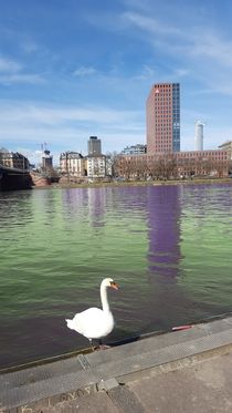 Green river with swan von Dirk Hendriks