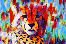 Cheetah  von Chris Butler