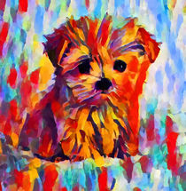 Yorkshire Terrier  by Chris Butler