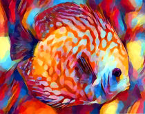Discus Fish by Chris Butler