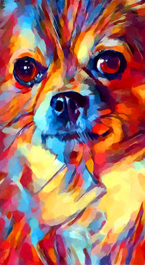 Chihuahua Watercolor by Chris Butler