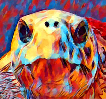 Loggerhead Sea Turtle by Chris Butler