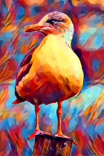 Seagull Watercolor by Chris Butler