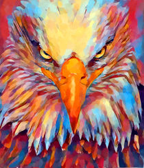 Bald Eagle Watercolor by Chris Butler
