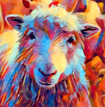Sheep Watercolor by Chris Butler