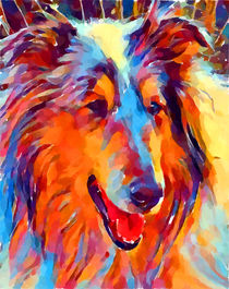 Collie Watercolor by Chris Butler