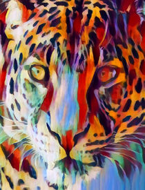 Leopard by Chris Butler