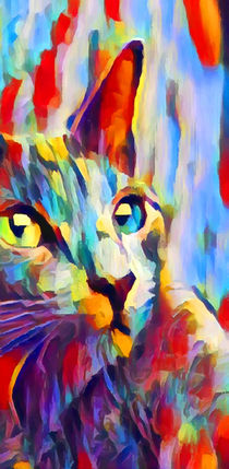 Cat 3  by Chris Butler
