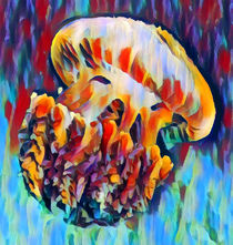 Jellyfish von Chris Butler