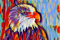 Bald Eagle by Chris Butler