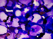 Purple Eye by colorcauldron